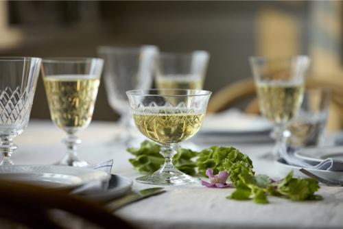 Sklenice na sekt Eaton