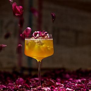 🍸 Mezinárodní den Gin & Tonic: Oslavte ho v tom správném skle!
