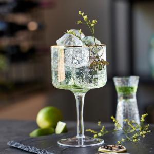 🍸 Mezinárodní den Gin & Tonic: Oslavte ho v tom správném skle!