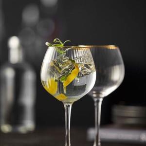 Letní osvěžení - Gin & Tonic